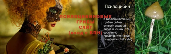 гашик Киренск
